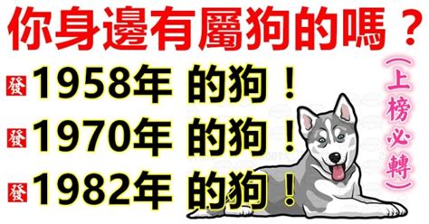 1958年屬狗|1958屬狗五行屬木詳解 58年屬狗中晚年運